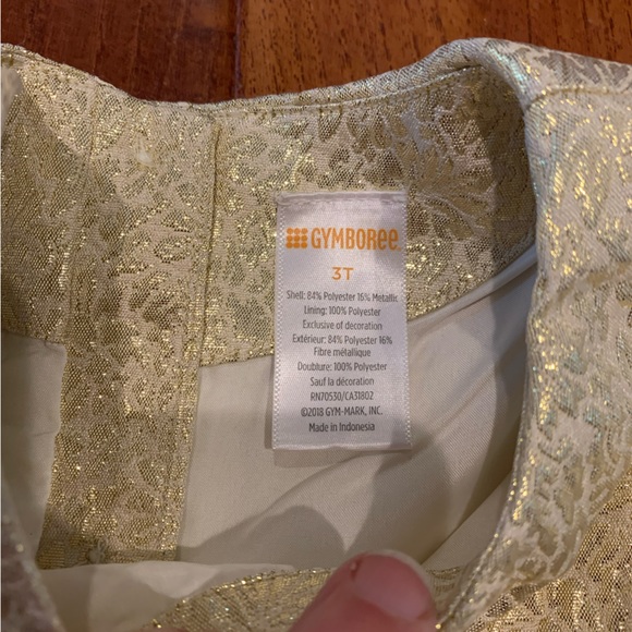 Gymboree gold/cream special occasion HOLIDAY dress, size 3T - Picture 4 of 7